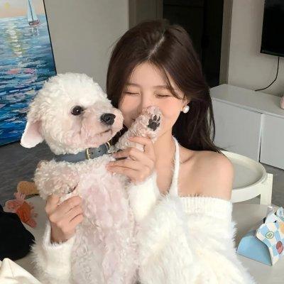 梦比优斯奥特曼&amp;amp;奥特兄弟[日语版]